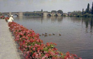 Kitzingen: Kai, Vordergrund Blumenanlagen