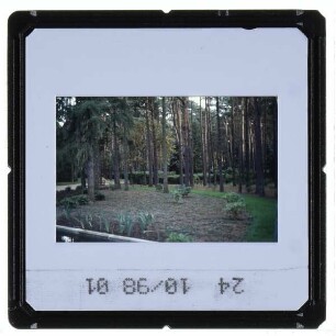 Luckenwalde, Waldfriedhof