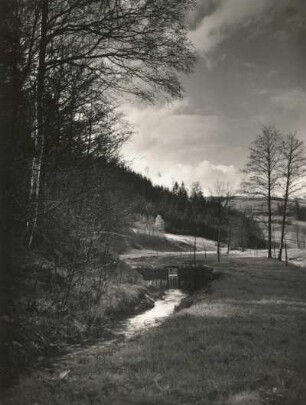 Osterzgebirge. Mordgrund, Naturschutzgebiet Bienhof bei Gottleuba
