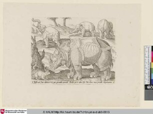 [Elephants with Rhinoceros; Elefanten mit einem Nashorn]