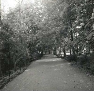 Lübben (Spreewald. Parkanlage "Hain". Parkweg mit Holzbrücke über die Berste. Ansicht von Westen