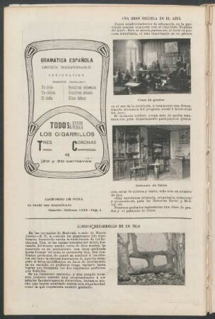 Curioso desarrollo de un tilo