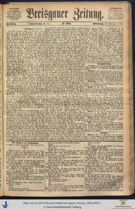 13.11.1895