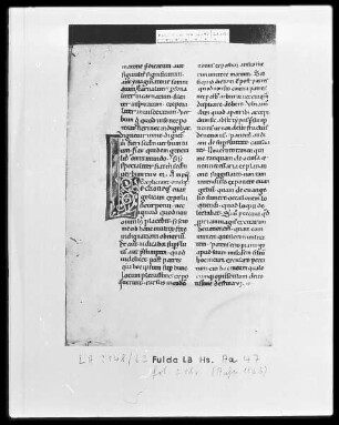 Bernhard von Clairvaux, Sermones in Cantitum Canticorum — Initiale L, Folio 218 verso