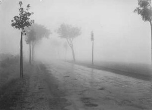 Straße im Nebel : Kammstrasse bei Johanngeorgenstadt im Nebel