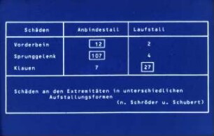 Schäden an den Extremitäten in unterschiedlichen Aufstallungsformen (nac Schröder und Schubert)