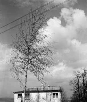 Wolkenbilder. Wolken über Wohnhaus mit Birke (vielleicht bei Leonberg)
