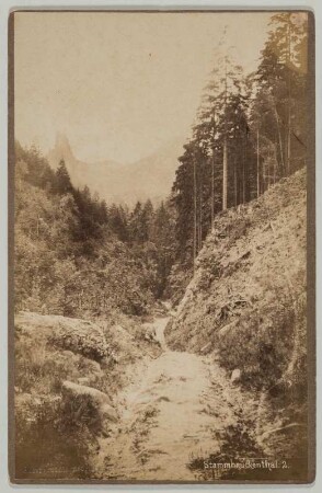 Böhmische Schweiz. Dittersbacher Felsen (Jetrichovcká stena). Stammbrückental. Photographie; 169 x 103 mm. Aufnahme 1885