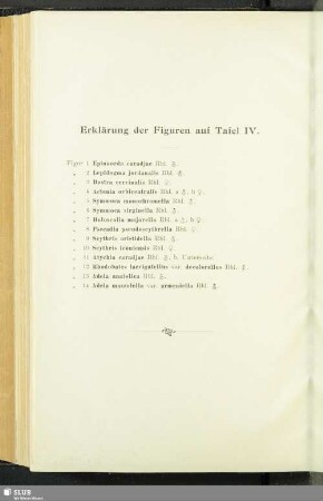 Erklärung der Figuren auf Tafel IV.