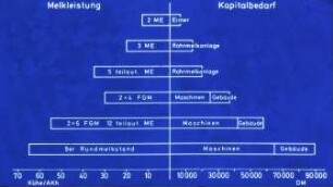 Melkleistung und Kapitalbedarf