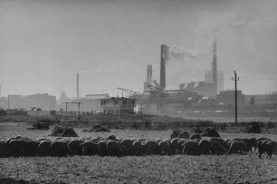 Archivfotografie "staedte_ludwigshafen_verschiedenes_on03"