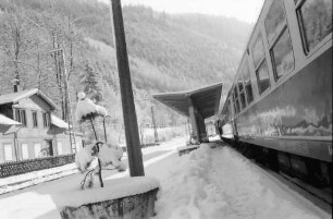 Hirschsprung: verschneiter Bahnsteig mit Tanne