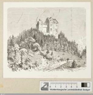 [Waldburg]