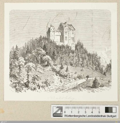 [Waldburg]
