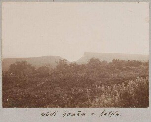 wadi hamam [Taubental] v. hattin. [Berg der Seligpreisungen]