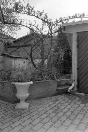 Kreative gärtnerische Gestaltung von Karlsruher Hinterhöfen
