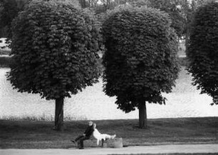 Moritzburg. Kastanien am Schloßteich, davor ein junges Paar auf einer Bank sitzend