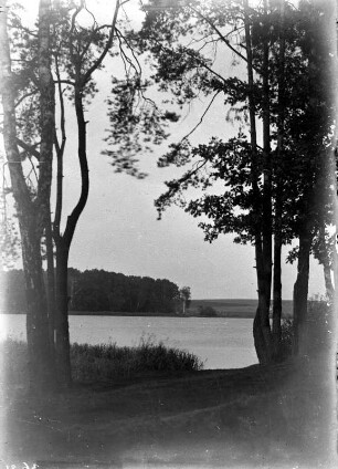 Moritzburg. Am oberen Waldteich