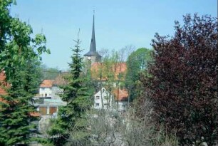 Blick durch Bäume zur Kirche