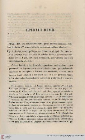 Explicatio iconum