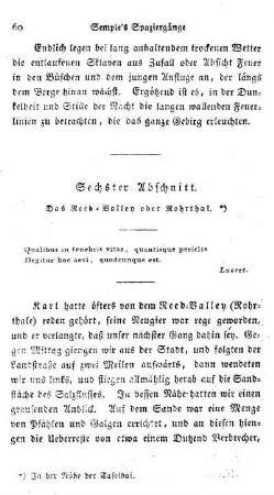 Sechster Abschnitt: Das Reed-Valley oder Rohrthal