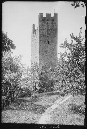 Tautenburg. Turm