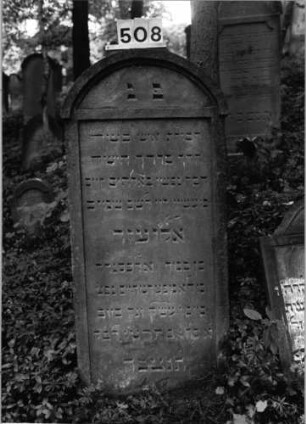 Grabstein 508 (Index: 99803846) Material: Sandstein Zustand: gut Maße HxBxT: 0x0x0 cm Beschreibung: Stele mit verdachtem Segmentbogen, profiliertem Rand, Giebelfeld Besonderheit: Endreim: Grabstein 508