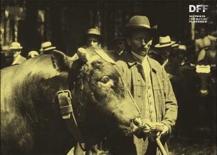 Ochsenfest / Tierschaufest in Wetzlar 2. und 3. Juli 1914 (1914)