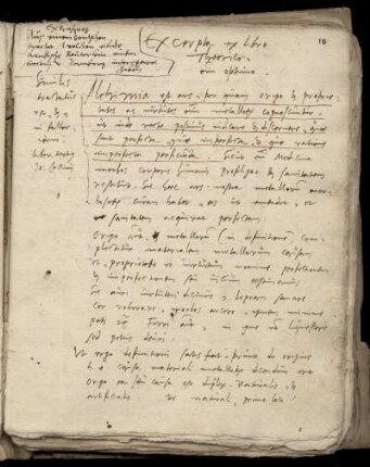 Excerpta ex libro Theoricorum optimo