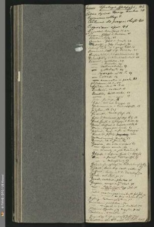 ferner: Theologie, Philosophie