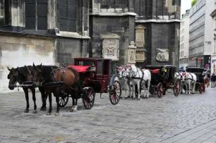 Kiaker-Kutschen warten auf Fahrgäste : In einer langen Warteschlange stehen Fiaker-Kutschen am Stephansdom. Aufgenommen am 4. September 2009 in Wien