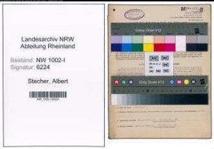 Entnazifizierung Albert Stecher, geb. 01.03.1911 (Kaufm.Angest.)