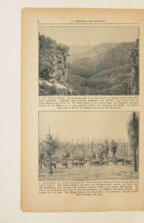 Die Blauen Berge
