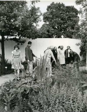 Hamburg-Mitte. Freizeitpark Planten un Blomen zur IGA 1973. Besucher betrachten die Bepflanzungen von Beeten