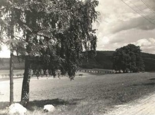 Oberlausitz. Linden bei Rehnsdorf, westlich von Elstra