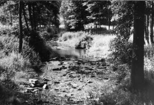Wilsdruff-Blankenstein. Die Triebisch in Richtung der Eulmühle