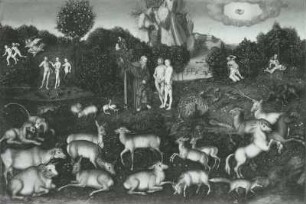 Das Paradies : Das Paradies