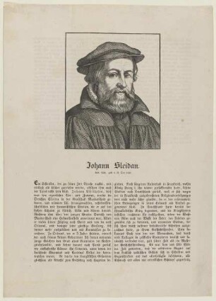 Bildnis des Johannes Sleidanus