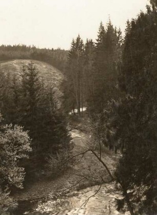 Bobritzschtal. Grabentour. Waldlandschaft am 7. Grabenmundloch