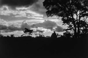 Abendwolken : Abendwolken zur Regenzeit.
