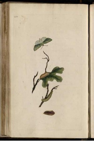 Pl. 281 [bis] 288 Pl. [siehe arabische Paginierung]