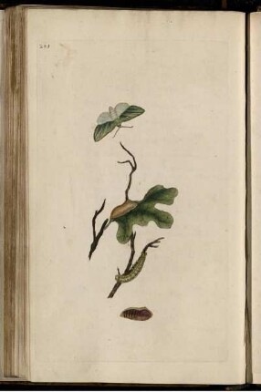 Pl. 281 [bis] 288 Pl. [siehe arabische Paginierung]