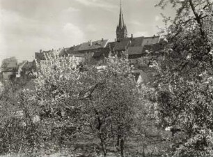 Leisnig : Leisnig. Stadtteilansicht von Südwesten mit Turm der Stadtkirche St. Matthäus