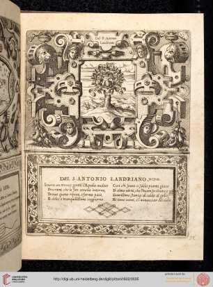 Nr. 32: Signor Antonio Landriano
