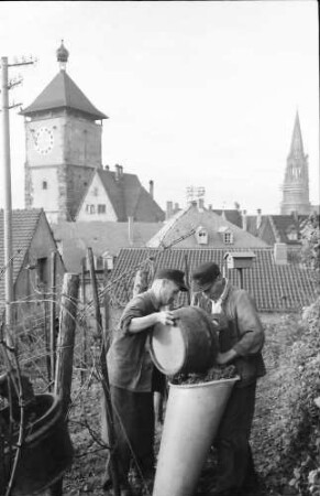 Freiburg: Eimer werden in Bütte geleert, Hintergrund Schwabentor und Münster