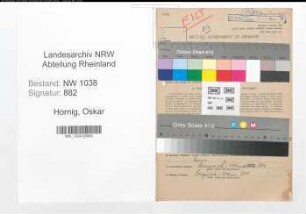 Entnazifizierung Oskar Hornig , geb. 03.02.1903 (Bergmann)