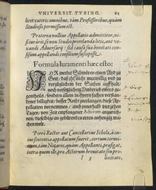 "Formula Iuramentiu haec esto: Ihr werdet Schwören einen Ayd zu Gott [...]".