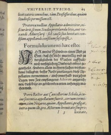 "Formula Iuramentiu haec esto: Ihr werdet Schwören einen Ayd zu Gott [...]".