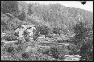 Tharandt. Edle Krone m. Forellenzüchterei