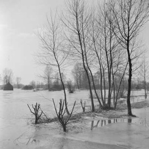 Landschaftsbild. Frühling im Spreewald. Leiper Weg. Heuschober. Die Wiesen sind überschwemmt. : Wobraz krajiny. Nalěćo w Błótach. Puć w Lipjem. Kopjena (Stogi). Łuki su přepławjene.